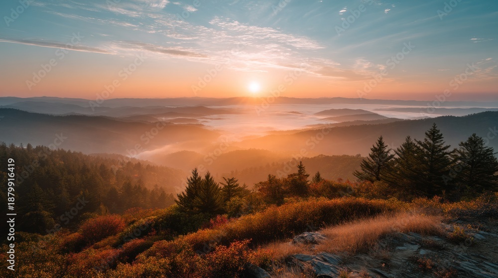 Naklejka premium Sunrise over misty mountains and forest