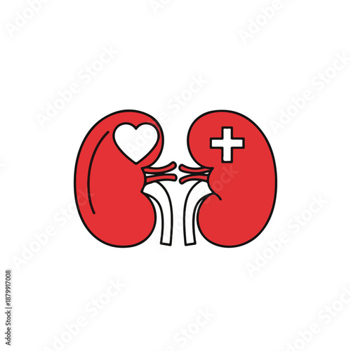 Kidney Donation Concept with Heart and Cross