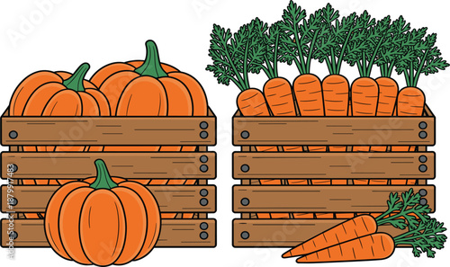 Fresh organic harvest featuring orange pumpkins and garden carrots in rustic wooden crates vector illustration
