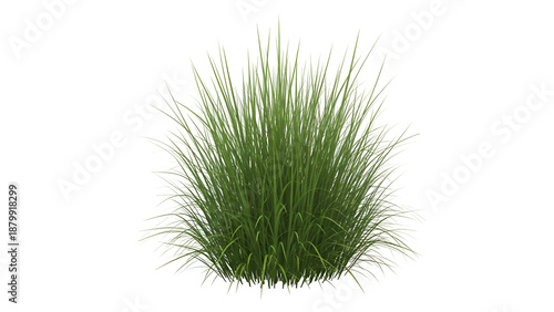 Green grass clump isolated on transparent background