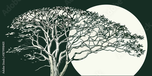 a tree with many branches and leaves in front of a white oval