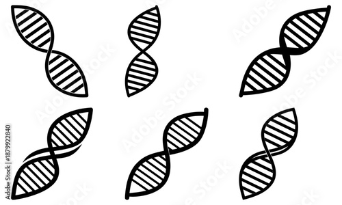 Four Double Helix D N A Strand Silhouettes on White Background genetic science