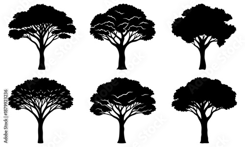 Six Black Tree Silhouettes on White Background nature
