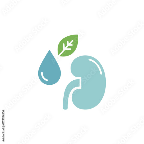 Kidney and Leaf Water Drop Icon