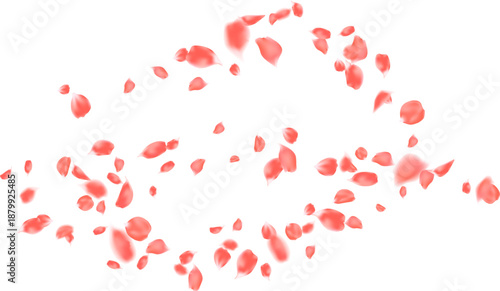 Rose petal spring blossom, Valentine romantic card. Floral wedding invitation