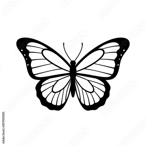 A beautiful swallowtail butterfly vector illustration with colorful wings isolated on a white background captures the summer nature of this flying lepidoptera insect