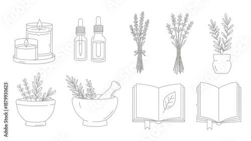 This hand drawn outline illustration shows natural botanical elements including bottles, plants, flowers, and herbs arranged in a minimalist style. The image represents natural wellness, herbal produc