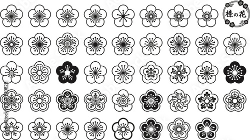 Traditional Japanese plum blossom motifs, stylized ume flower designs, intricate petal patterns, cultural art reference sheet, blue outlines
