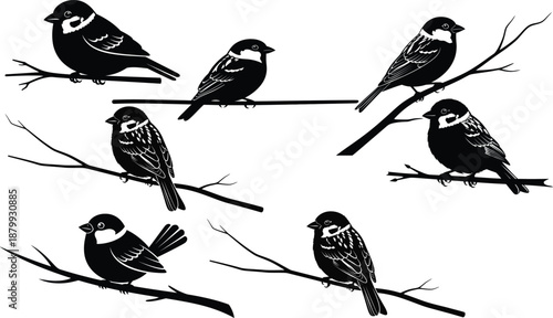 A cute cartoon illustration of different birds sitting and flying on a tree branch in nature