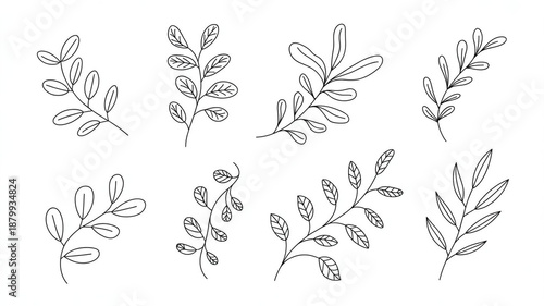 vector illustration of a branch of tree