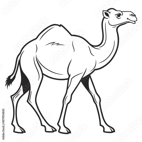 Simple Camel Silhouette Vector Illustration Minimalist Animal