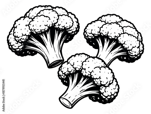 Hand drawn line art vegetable set featuring three broccoli florets for food and healthy eating designs