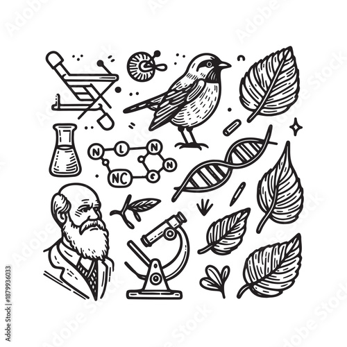 doodle icons darwin day educational evolution finch dna and science vector