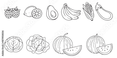 Hand drawn line art fruits and vegetables set featuring raspberries, lemon, avocado, bananas, corn, eggplant, cabbage, and watermelon for organic food and healthy lifestyle design