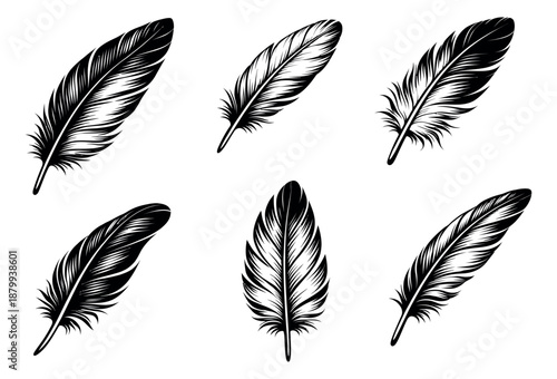Hand drawn illustration set featuring various black and white feather designs for decorative purposes
