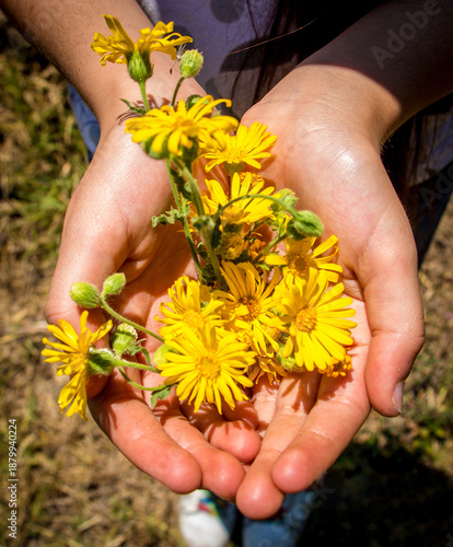 Manos con Flores amarillas 