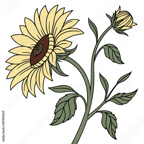 Vibrant Sunflower Bloom Vector Graphic Isolated on White