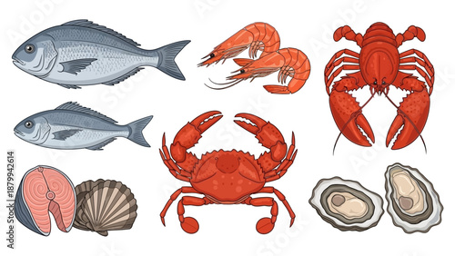 Assortment of Fresh Seafood - Fish, Shrimp, Lobster, Crab, Oysters, and Salmon.