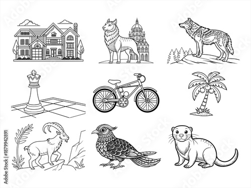 coloring page line art the animal bird and flower black vector bundle