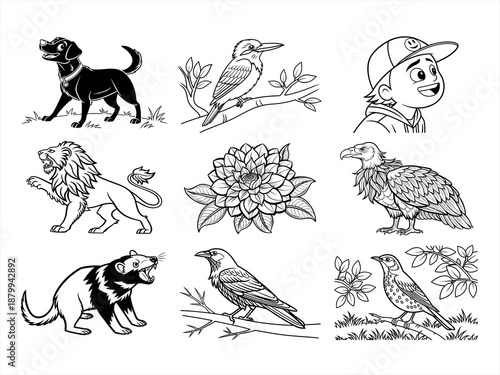 coloring page line art the animal bird and flower black vector bundle