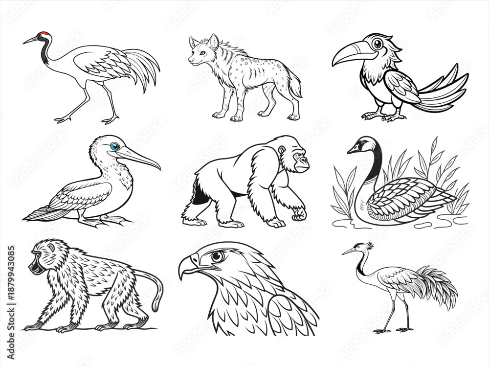 Naklejka premium coloring page line art the animal bird and flower black vector bundle