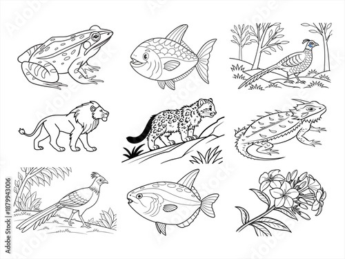 coloring page line art the animal bird and flower black vector bundle