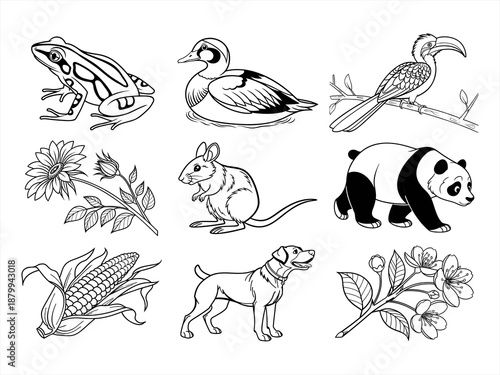 coloring page line art the animal bird and flower black vector bundle