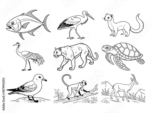 coloring page line art the animal bird and flower black vector bundle