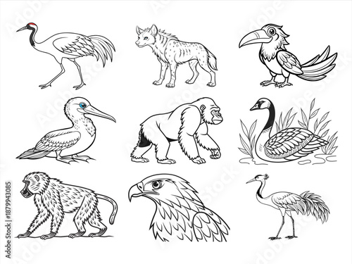 coloring page line art the animal bird and flower black vector bundle