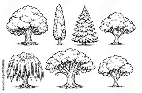 Hand drawn line art tree set featuring oak, pine, willow, and cypress style trees for nature and outdoor designs