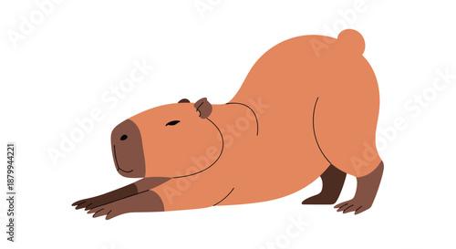 Large brown capybara is shown in a playful stretching pose with its front legs extended on a solid white background scene.