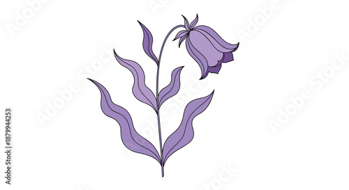 Elegant purple bellflower illustration features a single drooping bloom and wavy leaves on a simple white background scene.