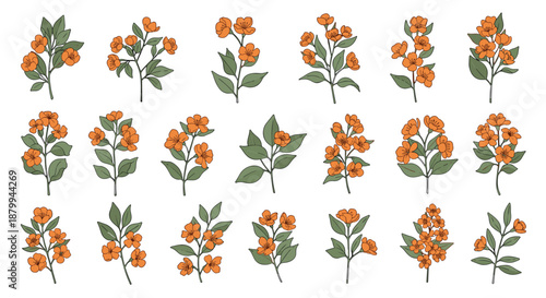 Large collection of twenty-one orange flower and leaf sprigs is arranged in a grid for natural and botanical design work.