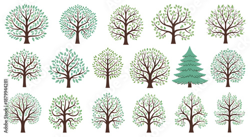 Collection of various deciduous and coniferous tree illustrations featuring different shapes of green foliage and brown trunks.