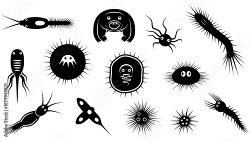 Various Black and White Microorganism Illustrations.