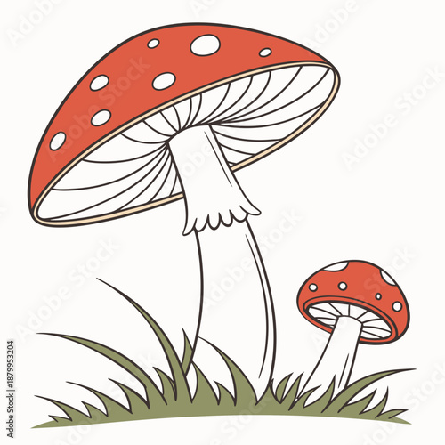 Wild Forest Mushroom Flat Vector Art Graphic