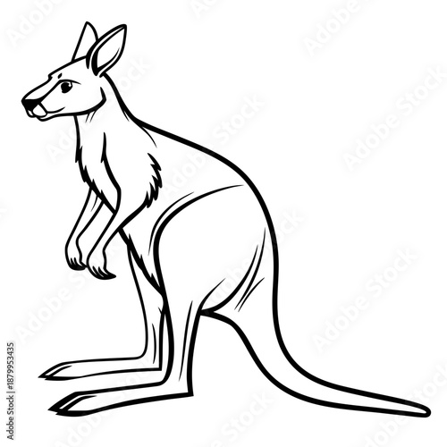 Minimalist Kangaroo Character Vector Drawing on White