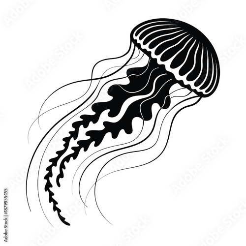 Stylized jellyfish illustration featuring flowing tentacles and a detailed bell shape in monochrome elegance aquatic life design