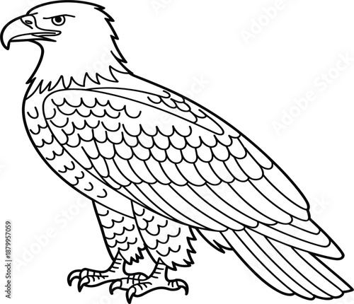 Detailed predatory eagle silhouette drawing featuring intricate wing feathers and sharp talons for creative design