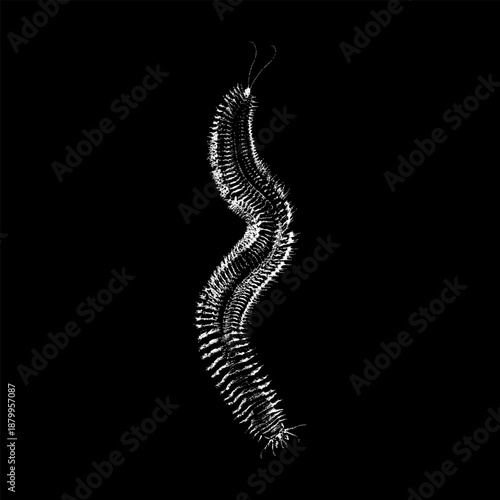 Hand-drawn sandworm vector illustration featuring a detailed, textured body with an organic, serpentine form.