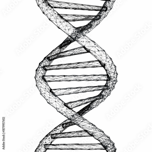 Detailed sketch of a dna double helix structure in black and white
