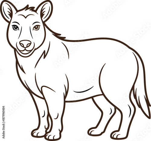 Black and white line of a young lion cub standing wildlife animal