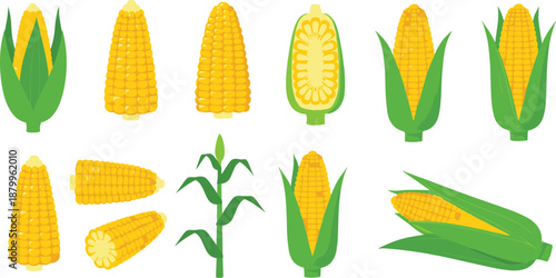 Detailed Corn Icon Set Featuring Whole Cobs With Husks Golden Yellow Kernels Sliced Sections And Corn Stalks in Vibrant Flat Vector Illustration.