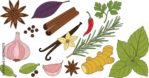 Collection of Aromatic Spices and Herbs Icons Featuring Star Anise Cinnamon Sticks Garlic Ginger Chili Rosemary and Basil in Detailed Flat Illustration.