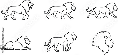Collection of black and white line art illustrations depicting various poses of a male lion