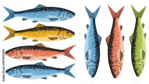 Vibrant watercolor illustrations of assorted fresh fish showcasing diverse colors like blue yellow and coral presented in dynamic side and top down views ideal handmade illustration vector