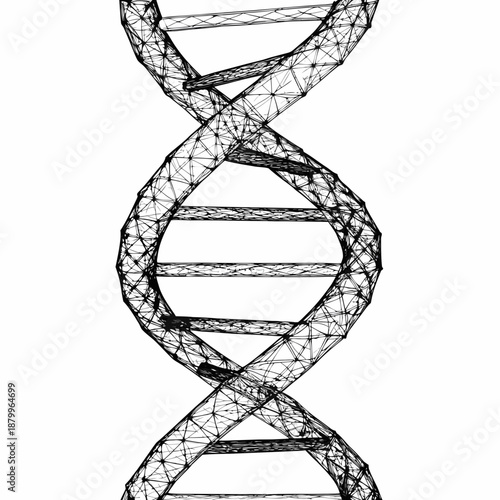 Detailed illustration of a dna double helix structure in black and white