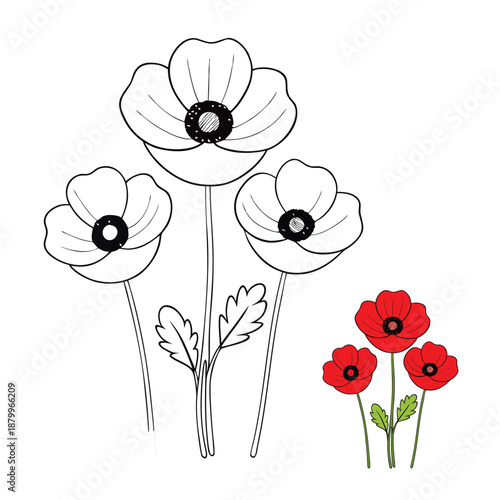 Bright spring poppies bloom with delicate petals and bold centers, dancing in warm sunlight and bringing fresh color, gentle charm, and joyful energy to gardens and fields.
