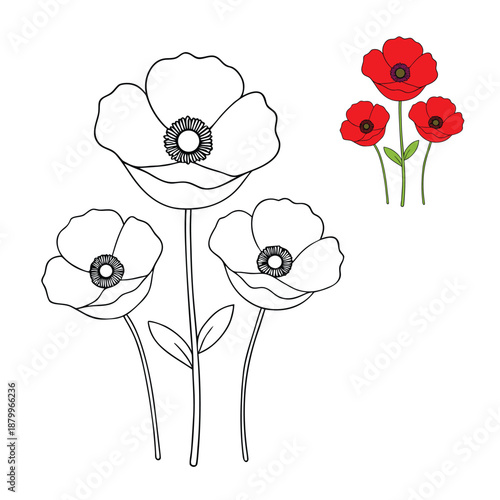 Bright spring poppies bloom with delicate petals and bold centers, dancing in warm sunlight and bringing fresh color, gentle charm, and joyful energy to gardens and fields.
