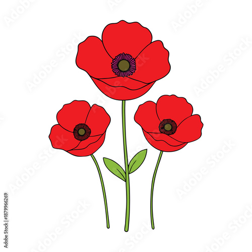 Bright spring poppies bloom with delicate petals and bold centers, dancing in warm sunlight and bringing fresh color, gentle charm, and joyful energy to gardens and fields.
